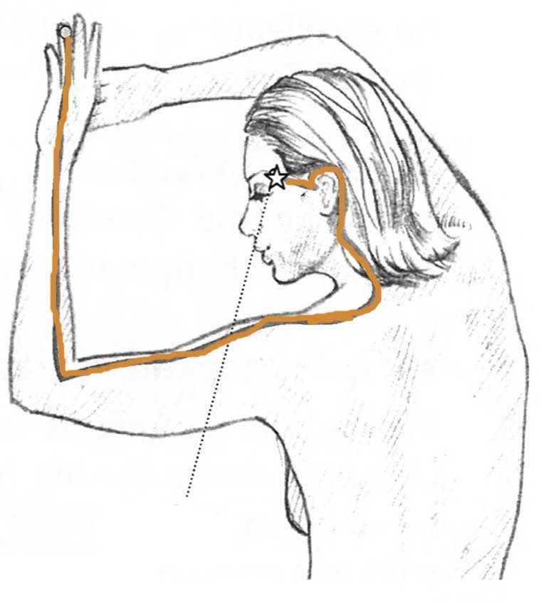 illustration of tracing back triple warmer meridian